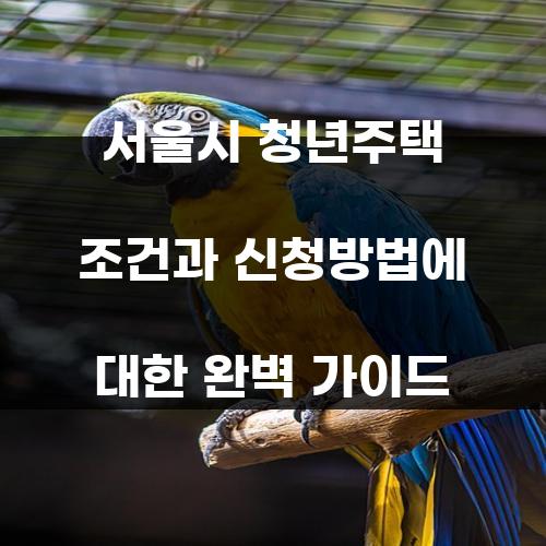 서울시 청년주택 조건과 신청방법에 대한 완벽 가이드