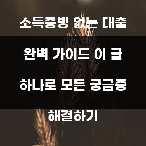 소득증빙 없는 대출 완벽 가이드 이 글 하나로 모든 궁금증 해결하기