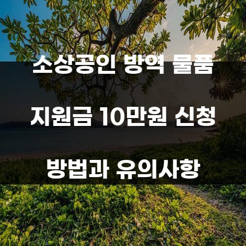 소상공인 방역 물품 지원금 10만원 신청 방법과 유의사항