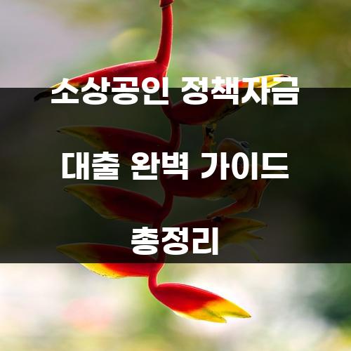 소상공인 정책자금 대출 완벽 가이드 총정리
