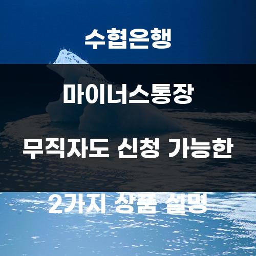 수협은행 마이너스통장 무직자도 신청 가능한 2가지 상품 설명