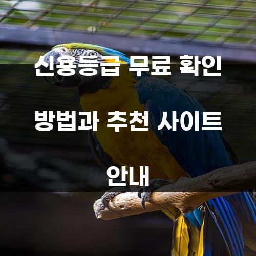 신용등급 무료 확인 방법과 추천 사이트 안내