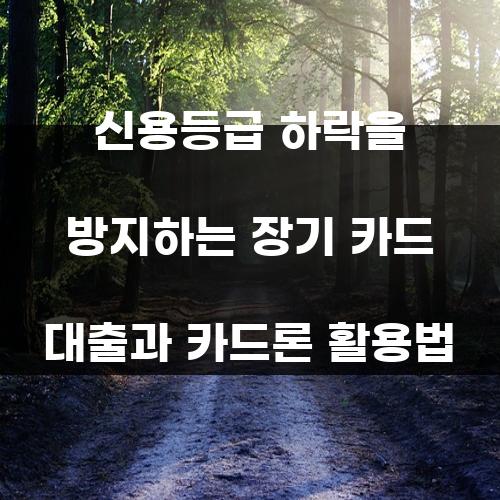 신용등급 하락을 방지하는 장기 카드 대출과 카드론 활용법