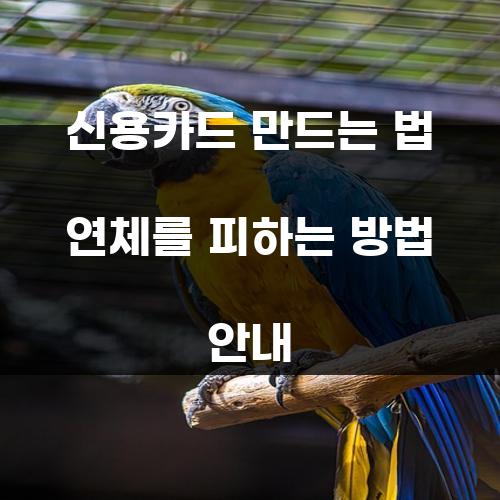 신용카드 만드는 법 연체를 피하는 방법 안내