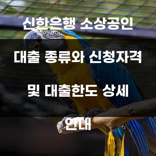 신한은행 소상공인 대출 종류와 신청자격 및 대출한도 상세 안내