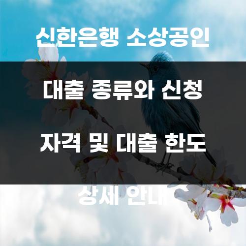 신한은행 소상공인 대출 종류와 신청 자격 및 대출 한도 상세 안내