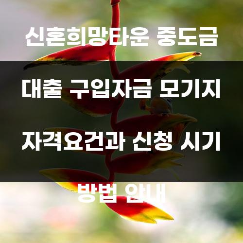 신혼희망타운 중도금 대출 구입자금 모기지 자격요건과 신청 시기 방법 안내