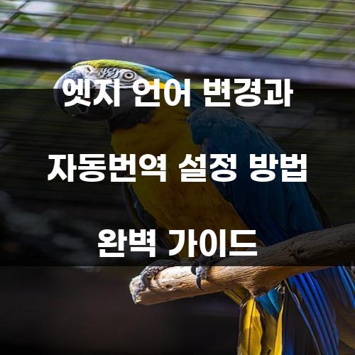 엣지 언어 변경과 자동번역 설정 방법 완벽 가이드