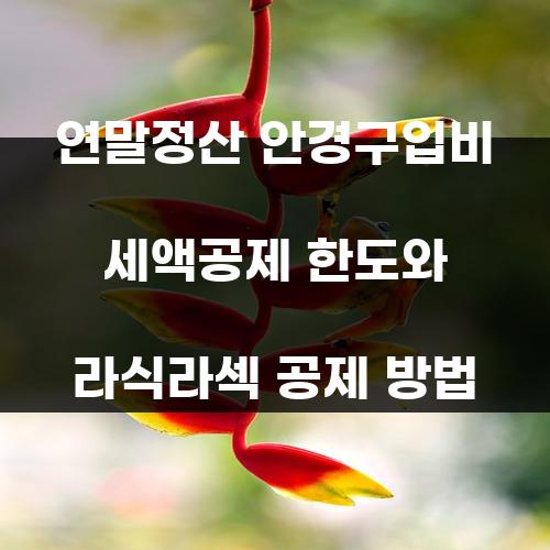 연말정산 안경구입비 세액공제 한도와 라식라섹 공제 방법