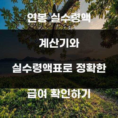 연봉 실수령액 계산기와 실수령액표로 정확한 급여 확인하기