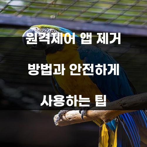 원격제어 앱 제거 방법과 안전하게 사용하는 팁