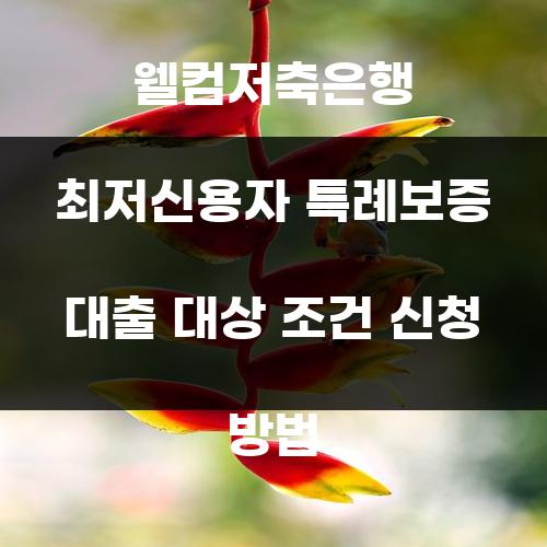 웰컴저축은행 최저신용자 특례보증 대출 대상 조건 신청 방법