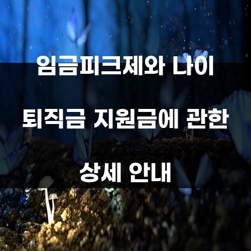 임금피크제와 나이 퇴직금 지원금에 관한 상세 안내