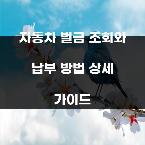 자동차 벌금 조회와 납부 방법 상세 가이드