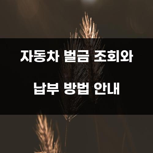 자동차 벌금 조회와 납부 방법 안내