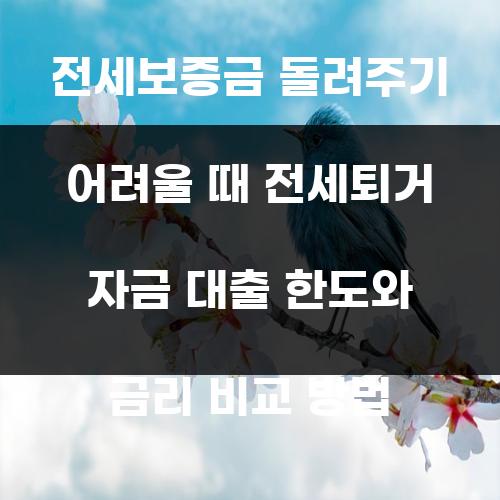 전세보증금 돌려주기 어려울 때 전세퇴거 자금 대출 한도와 금리 비교 방법