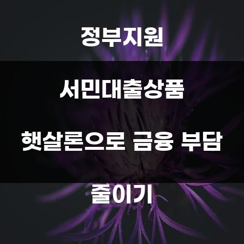 정부지원 서민대출상품 햇살론으로 금융 부담 줄이기