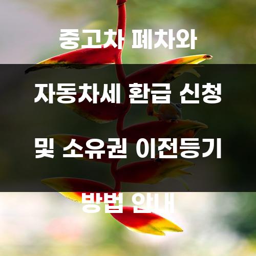 중고차 폐차와 자동차세 환급 신청 및 소유권 이전등기 방법 안내