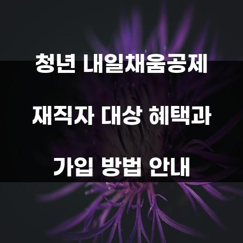 청년 내일채움공제 재직자 대상 혜택과 가입 방법 안내