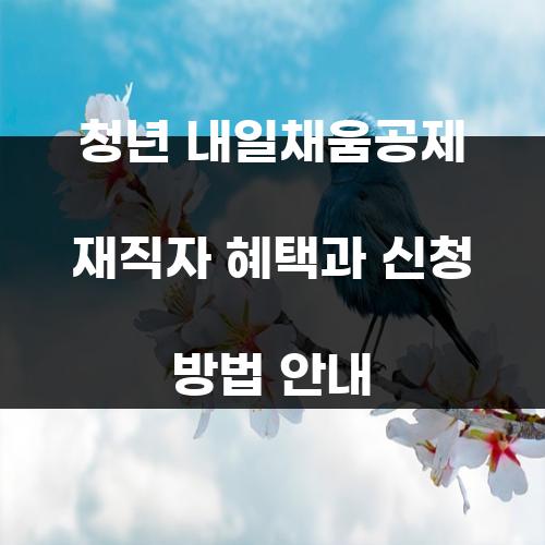 청년 내일채움공제 재직자 혜택과 신청 방법 안내