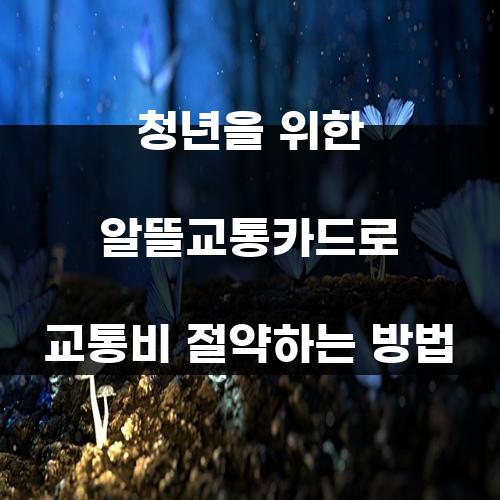청년을 위한 알뜰교통카드로 교통비 절약하는 방법