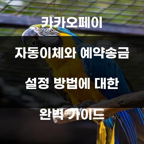 카카오페이 자동이체와 예약송금 설정 방법에 대한 완벽 가이드