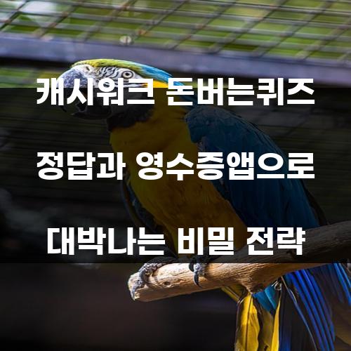 캐시워크 돈버는퀴즈 정답과 영수증앱으로 대박나는 비밀 전략