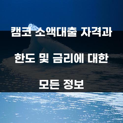 캠코 소액대출 자격과 한도 및 금리에 대한 모든 정보