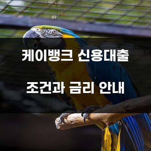 케이뱅크 신용대출 조건과 금리 안내