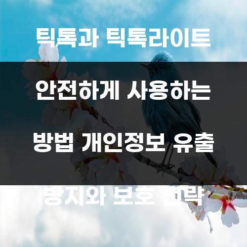 틱톡과 틱톡라이트 안전하게 사용하는 방법 개인정보 유출 방지와 보호 전략