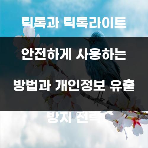 틱톡과 틱톡라이트 안전하게 사용하는 방법과 개인정보 유출 방지 전략