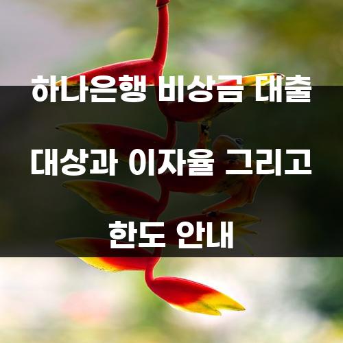 하나은행 비상금 대출 대상과 이자율 그리고 한도 안내