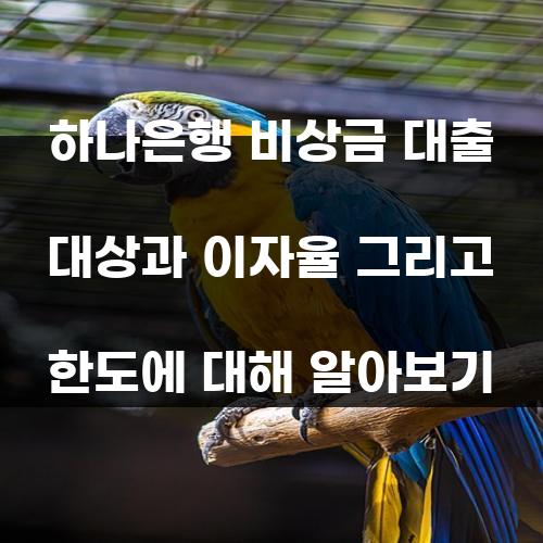 하나은행 비상금 대출 대상과 이자율 그리고 한도에 대해 알아보기