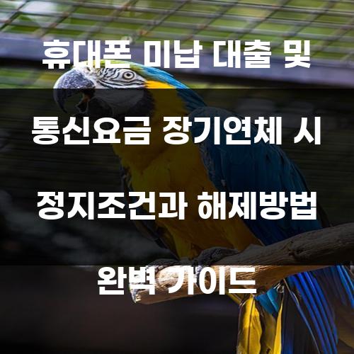 휴대폰 미납 대출 및 통신요금 장기연체 시 정지조건과 해제방법 완벽 가이드