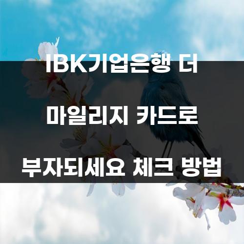 IBK기업은행 더 마일리지 카드로 부자되세요 체크 방법