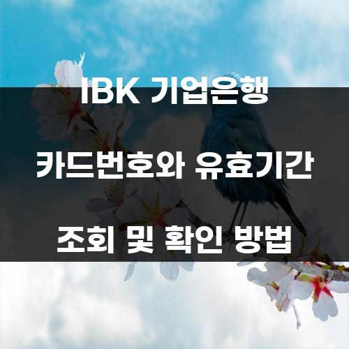 IBK 기업은행 카드번호와 유효기간 조회 및 확인 방법