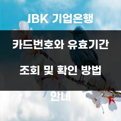 IBK 기업은행 카드번호와 유효기간 조회 및 확인 방법 안내