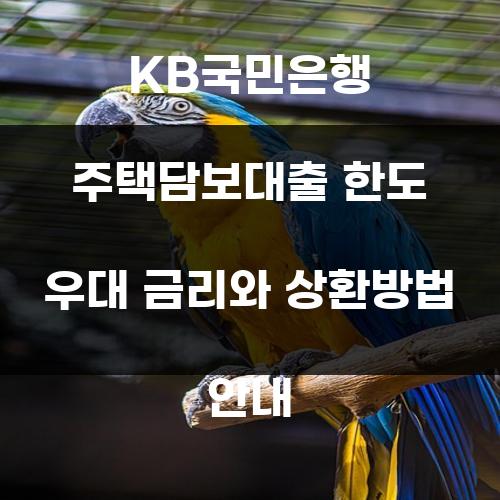 KB국민은행 주택담보대출 한도 우대 금리와 상환방법 안내
