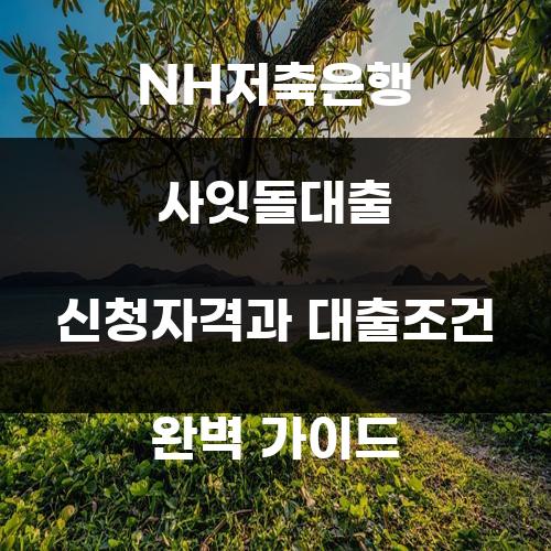 NH저축은행 사잇돌대출 신청자격과 대출조건 완벽 가이드