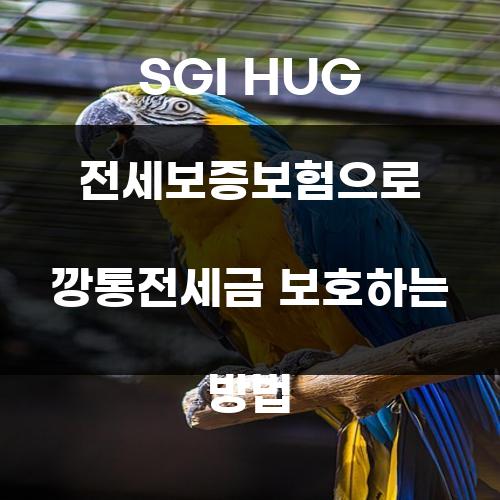 SGI HUG 전세보증보험으로 깡통전세금 보호하는 방법