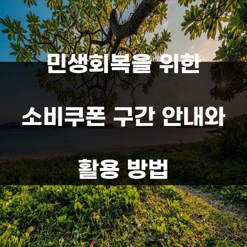 민생회복을 위한 소비쿠폰 구간 안내와 활용 방법