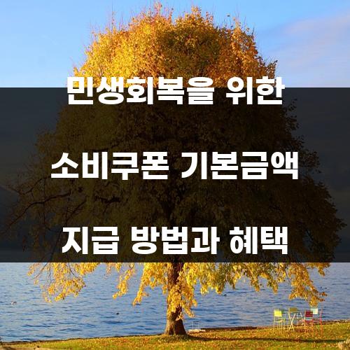 민생회복을 위한 소비쿠폰 기본금액 지급 방법과 혜택