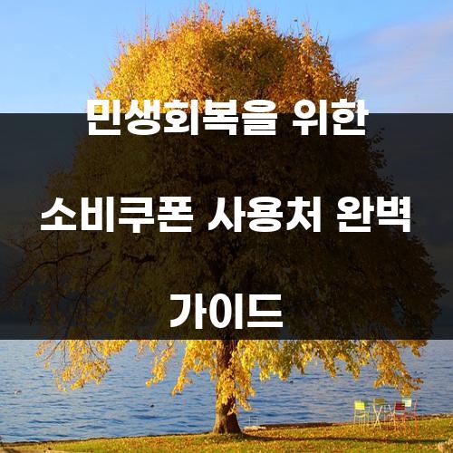 민생회복을 위한 소비쿠폰 사용처 완벽 가이드