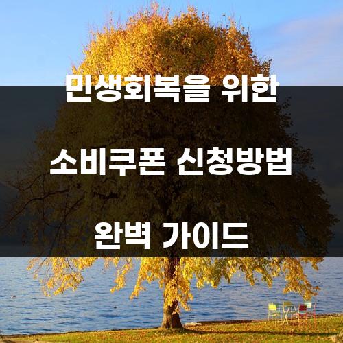 민생회복을 위한 소비쿠폰 신청방법 완벽 가이드