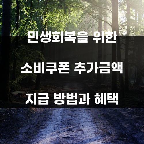 민생회복을 위한 소비쿠폰 추가금액 지급 방법과 혜택