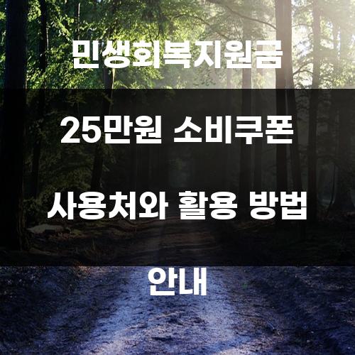 민생회복지원금 25만원 소비쿠폰 사용처와 활용 방법 안내