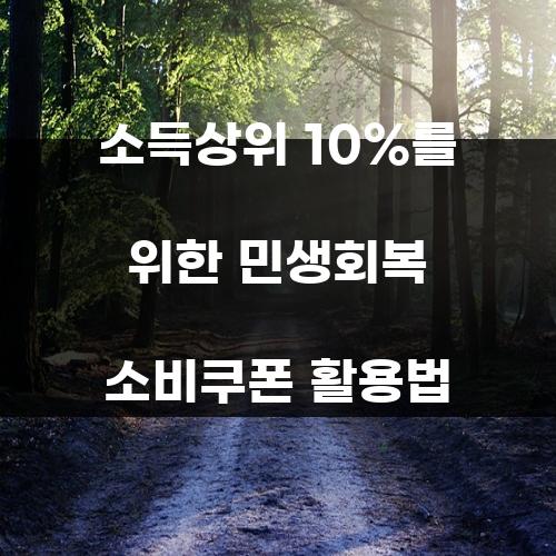 소득상위 10%를 위한 민생회복 소비쿠폰 활용법
