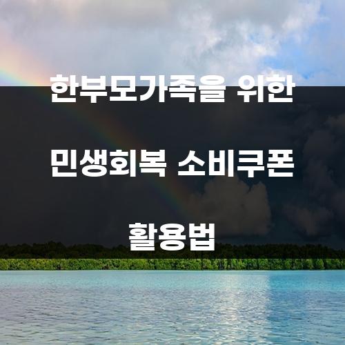 한부모가족을 위한 민생회복 소비쿠폰 활용법