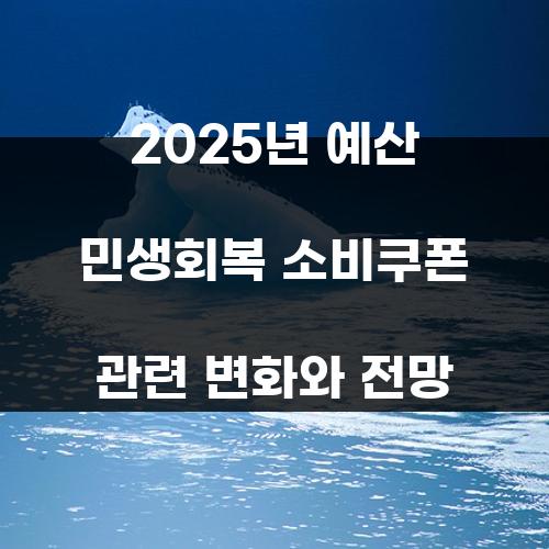 2025년 예산 민생회복 소비쿠폰 관련 변화와 전망
