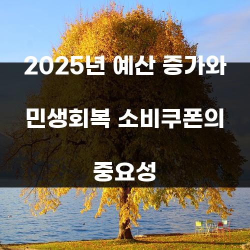 2025년 예산 증가와 민생회복 소비쿠폰의 중요성